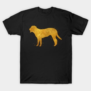 Swiss Mountain dog golden art T-Shirt